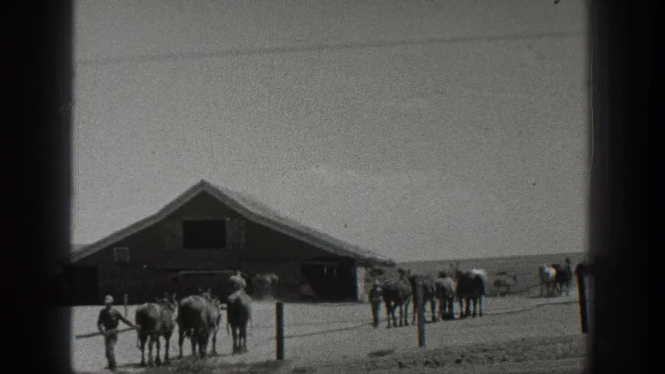 A distant farm worker handles horses near a barn in 1936 California home-movie footage, with people visible but faces not clear.