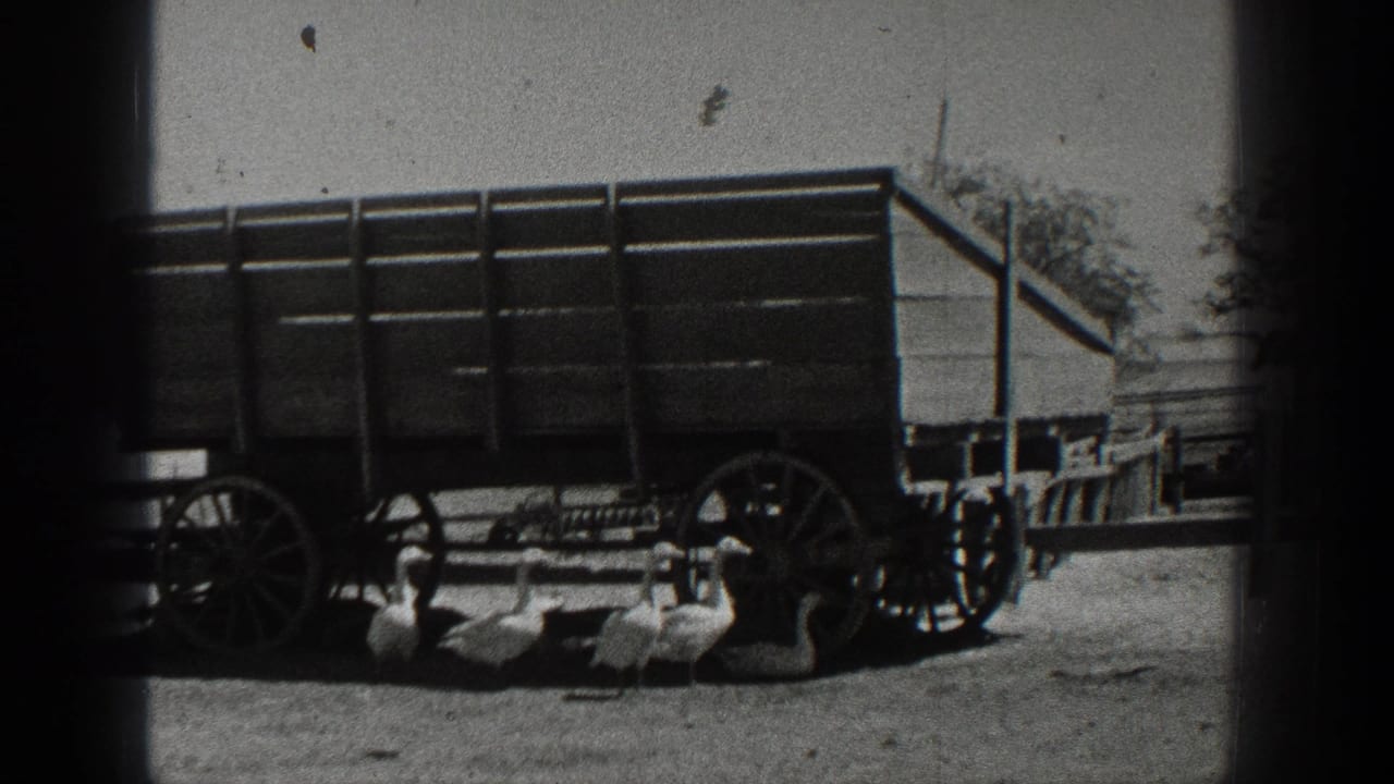 1936 California home-movie frame showing a wooden farm wagon, geese, and farm structures in a dirt yard.