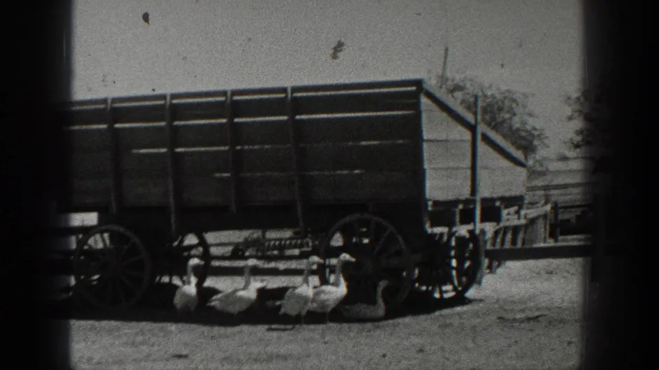 1936 California home-movie frame showing a wooden farm wagon, geese, and farm structures in a dirt yard.