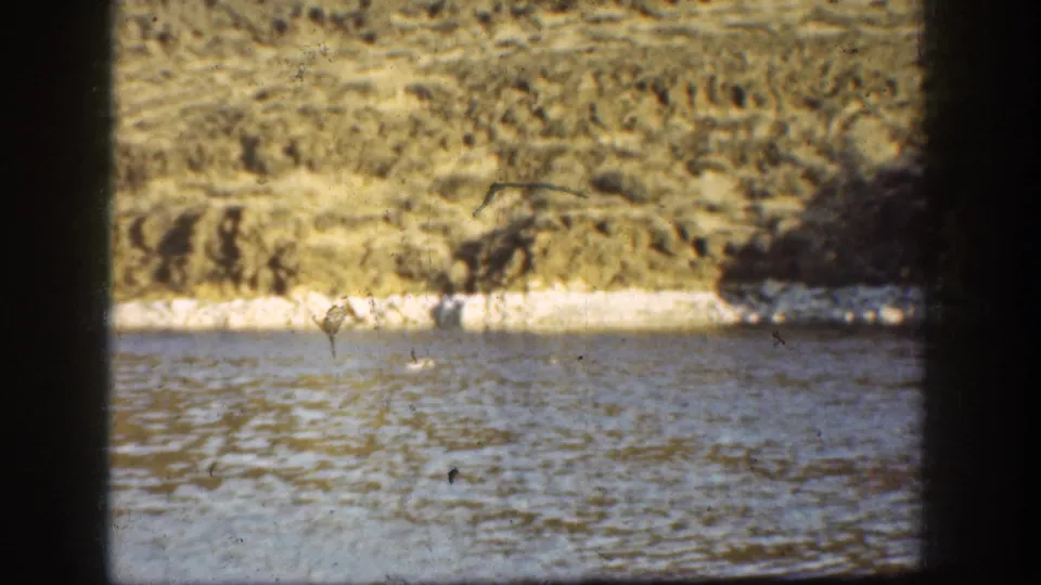 Color 8mm view of rippling water and a brush-covered bank, likely from the same rural California home-movie reel.