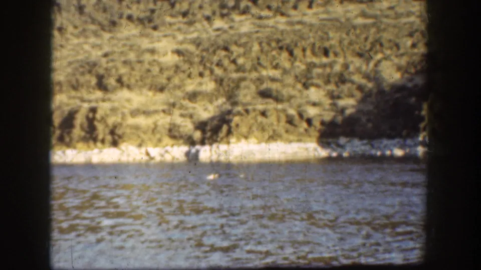 Soft color 8mm frame of water and a brushy rural bank in California, with visible gate edges and handheld framing.