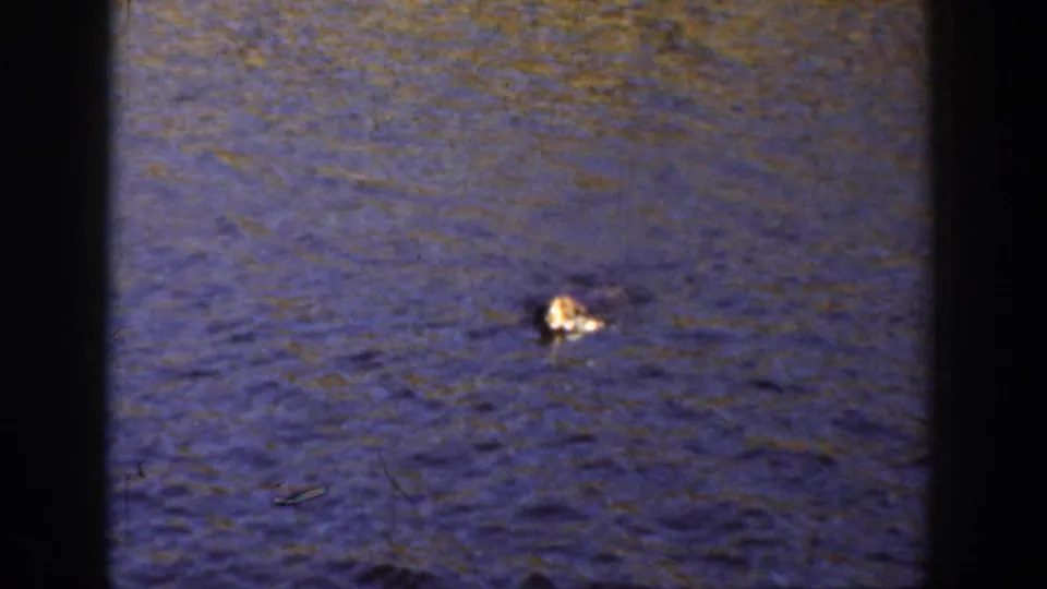 1936 California 8mm frame focusing on rippled blue river water with a small bright object or disturbance on the surface.