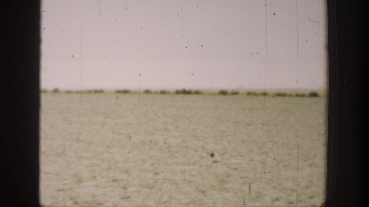An empty dry field stretches toward a low horizon beneath a pale sky.
