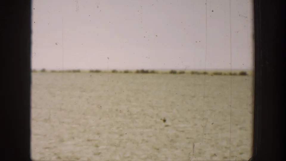 A dry California field fills the frame after the running boys move out of view, with small dark shapes near the horizon.
