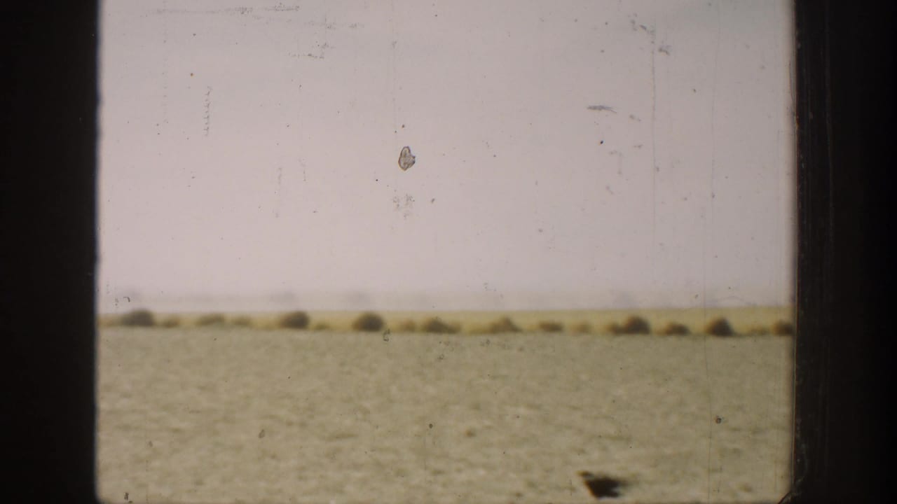 1936 California 8mm frame showing a flat open field, pale sky, low brush, and a dark bird near the bottom edge.