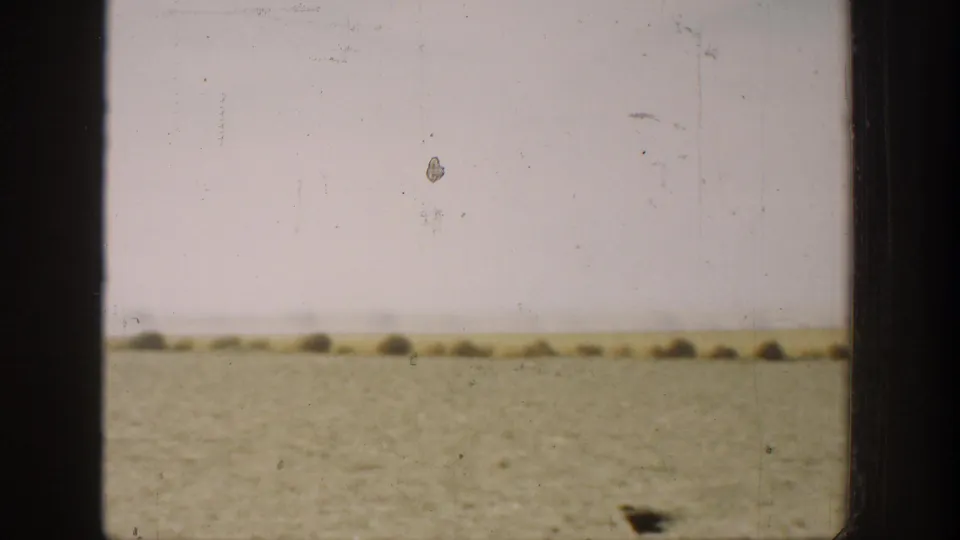 1936 California 8mm frame showing a flat open field, pale sky, low brush, and a dark bird near the bottom edge.