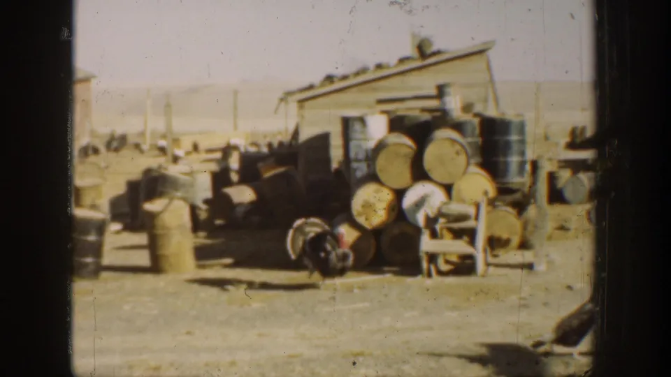 1936 California 8mm frame showing a turkey in a cluttered rural yard beside barrels, cans, a chair, and a shed.