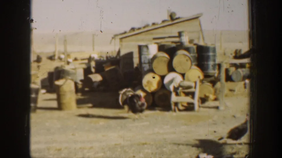 1936 California rural-yard frame with a turkey beside stacked wooden barrels, a small shed, chair, containers, and dry open ground.