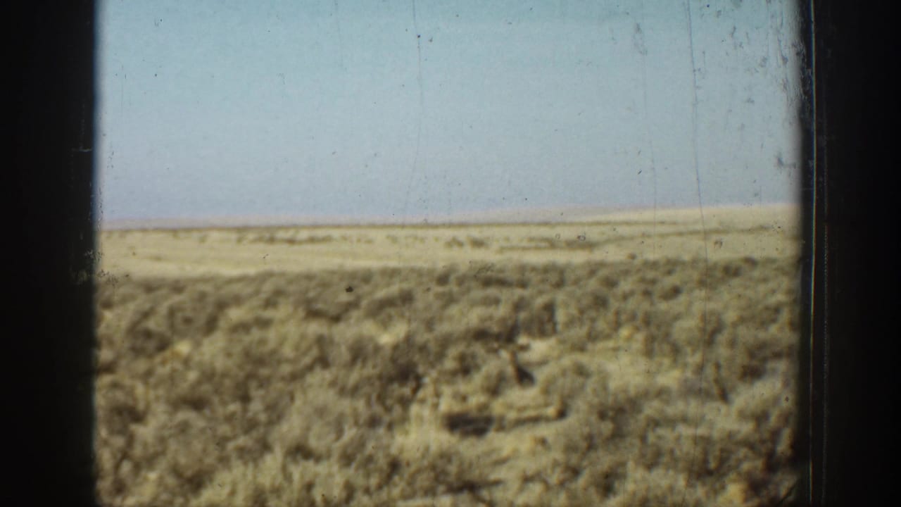 Open desert scrub and horizon divided by a dark central vertical bar.