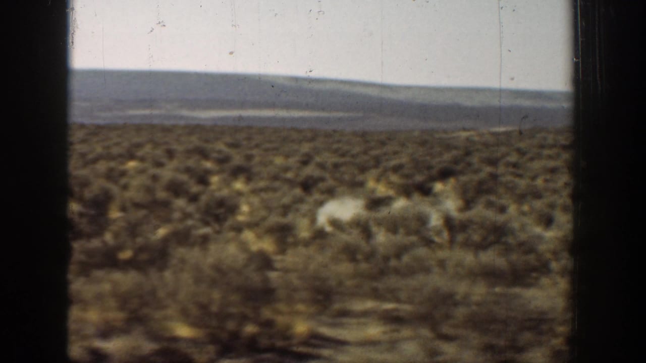 1936 California 8mm frame showing arid scrubland and a distant horizon through dark vehicle window framing.