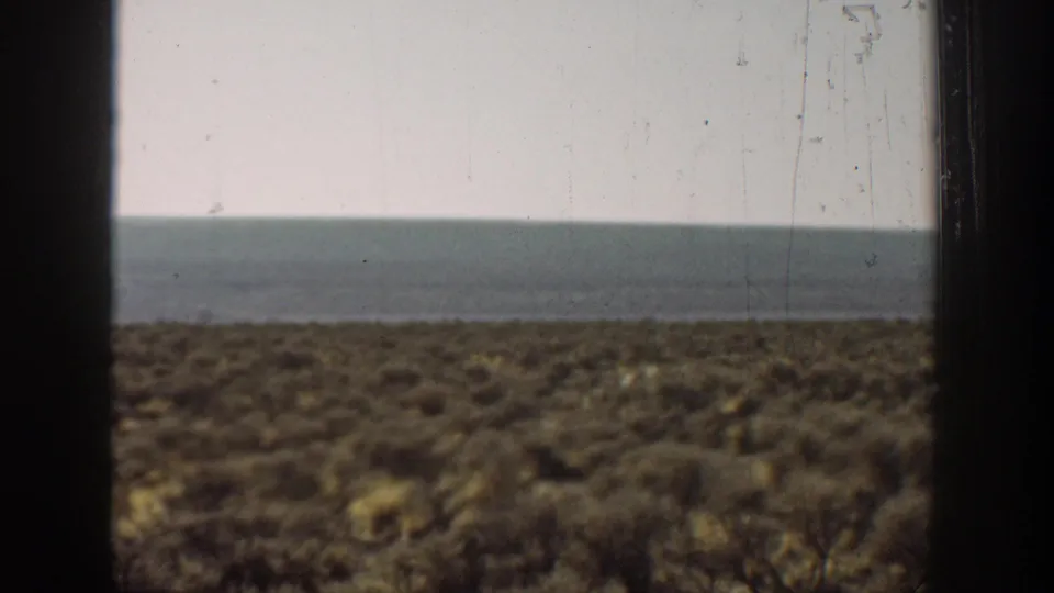 1936 California 8mm frame of sparse desert vegetation and a flat distant horizon seen from inside a moving vehicle.