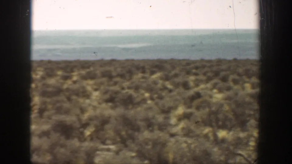 1936 California home-movie frame showing dry roadside scrub, pale sky, and a distant horizon through vehicle window edges.
