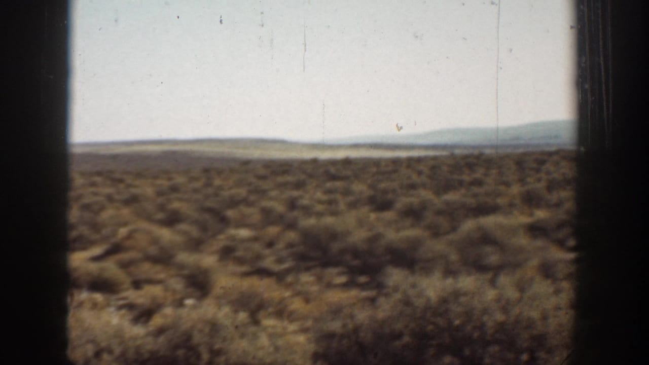 1936 California desert landscape with low shrubs, sandy terrain, distant hills, and dark framing at the edges.
