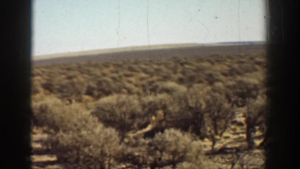 1936 home-movie frame of California desert brush, dry ground, and a dark window or frame edge from a moving viewpoint.