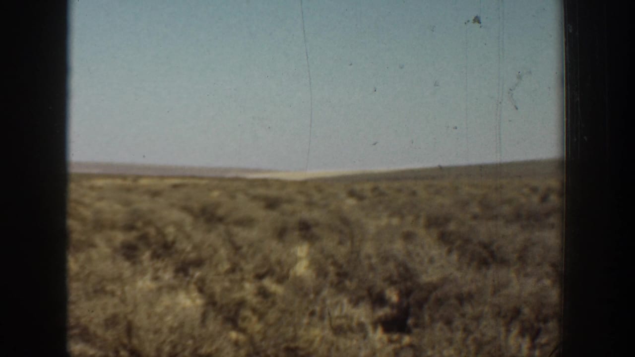 Arid brushland under a pale sky, divided by dark window bars.
