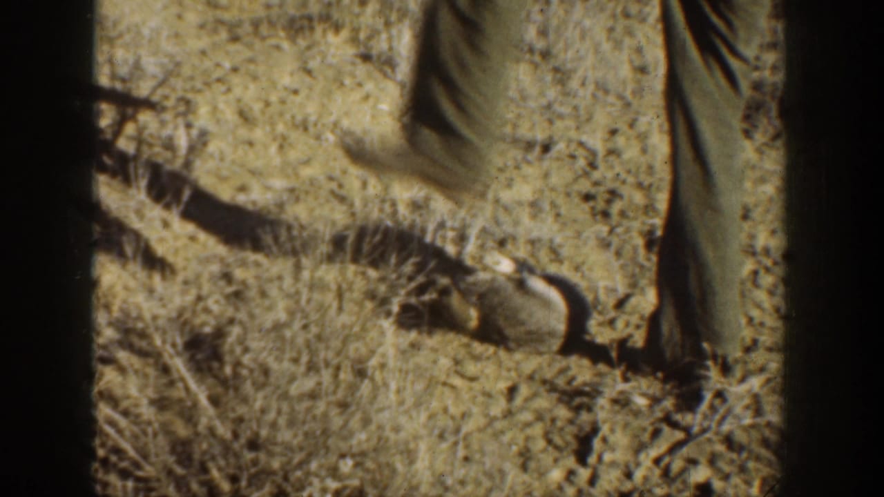 1936 California 8mm frame showing a partial adult figure beside a small animal or carcass in dry brush and sandy ground.
