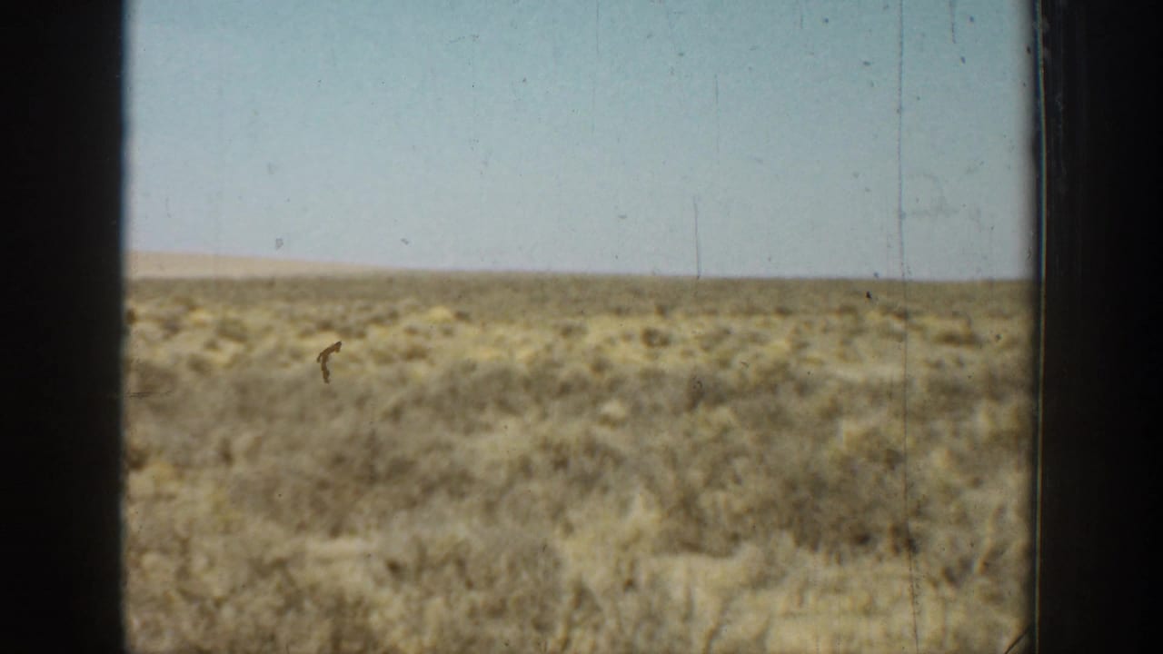 Wide dry landscape with low scrub and pale sky.