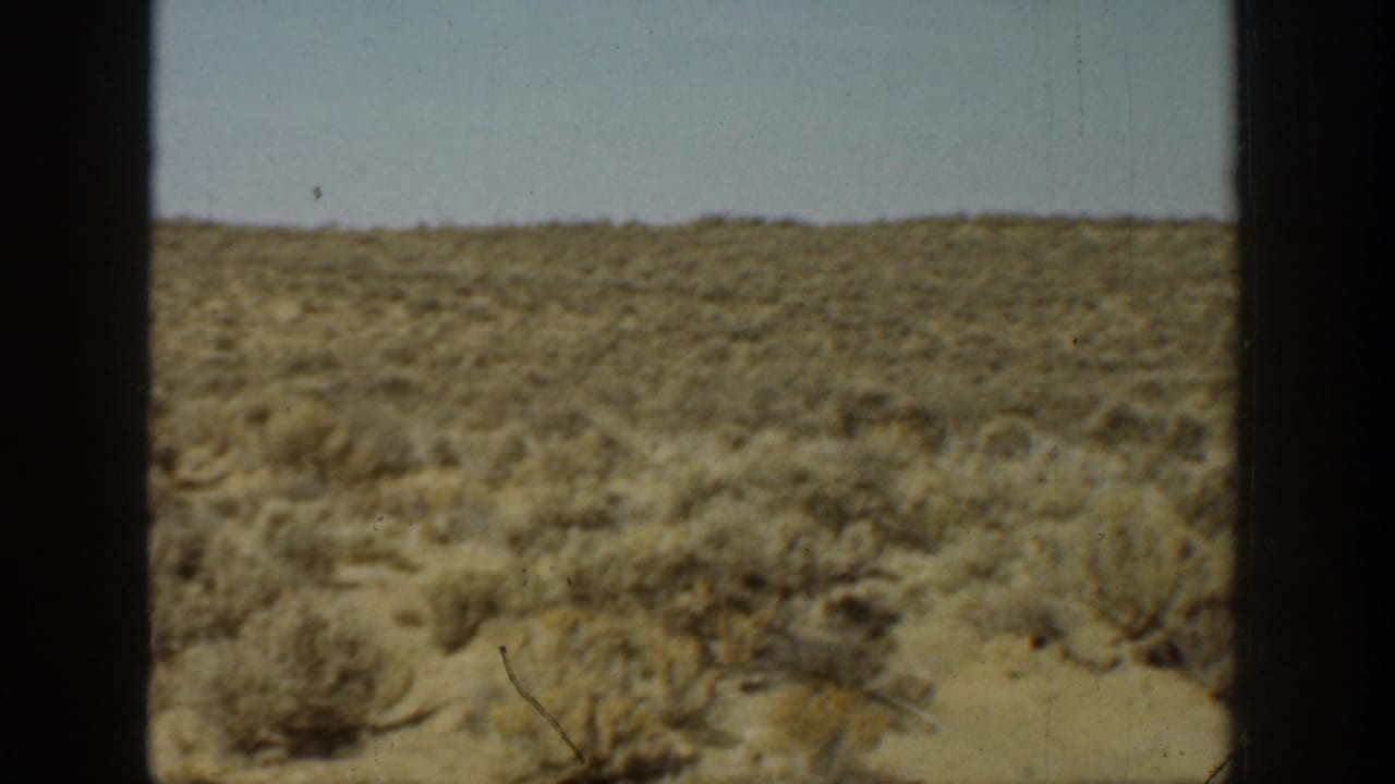 Brush-covered desert hillside seen through dark vertical frame edges.