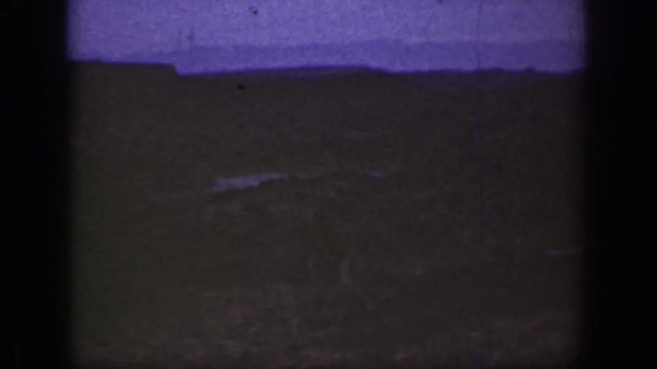 The final frame is mostly a dark grassy field and horizon under purple dusk exposure, with the figure no longer clearly visible.