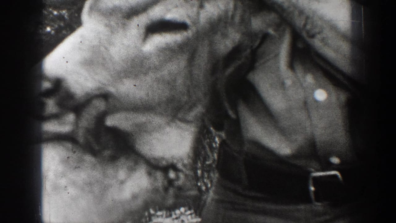 Close view of a mounted deer head beside part of a man wearing a belt and shirt.