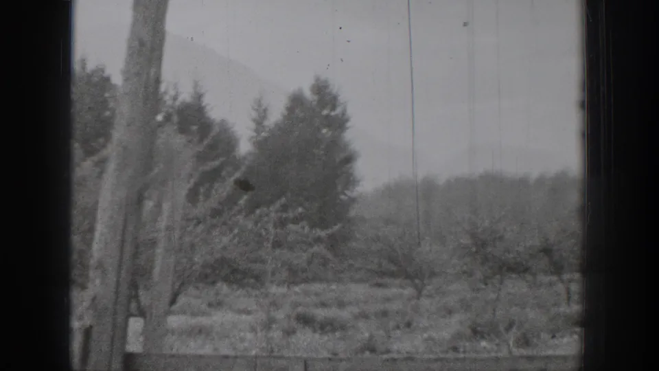 The clip shifts to a wooded Chelan-area landscape with trees, brush, and a distant mountain slope in soft black-and-white exposure.