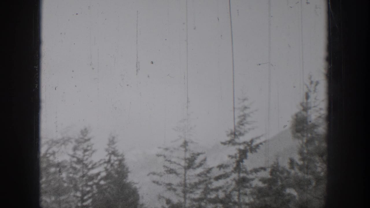 1939 Chelan, Washington 8mm frame looking through a window at evergreen trees, pale sky, and a soft distant hillside.