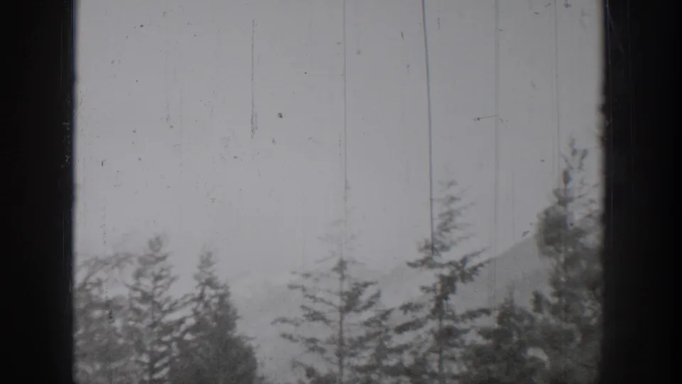 1939 Chelan, Washington 8mm frame looking through a window at evergreen trees, pale sky, and a soft distant hillside.