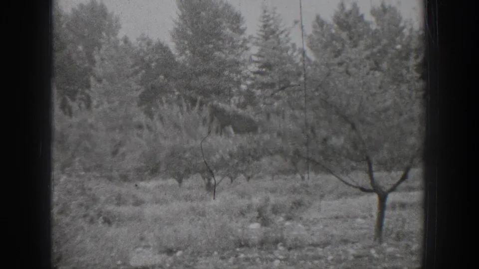 1939 Chelan, Washington home-movie frame showing a quiet field with scattered trees, low shrubs, and a darker evergreen backdrop.
