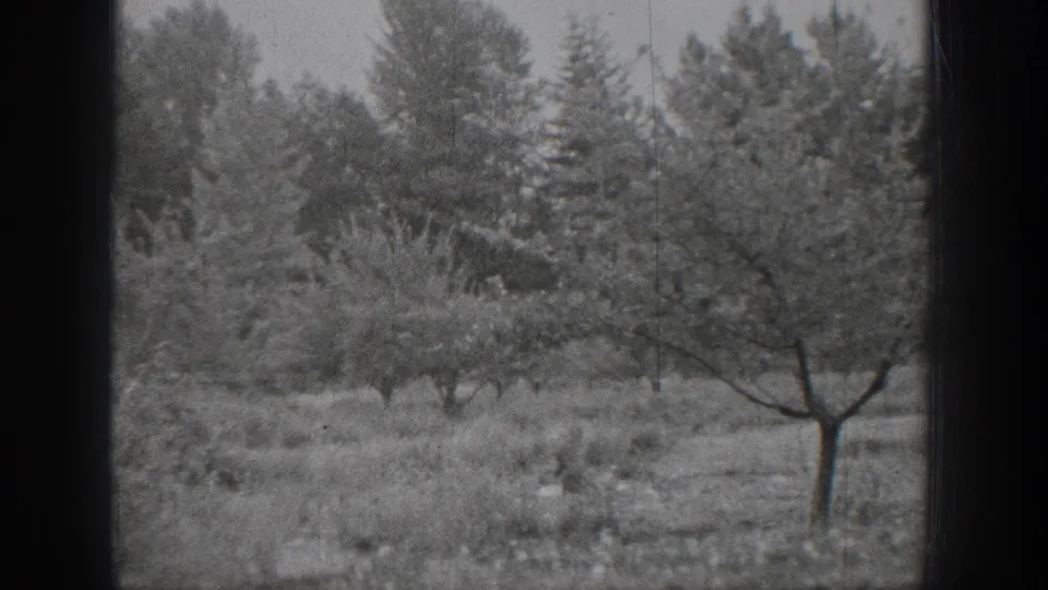 Black-and-white 1939 Chelan landscape frame with a small bare-branched tree in a field and darker woodland behind.