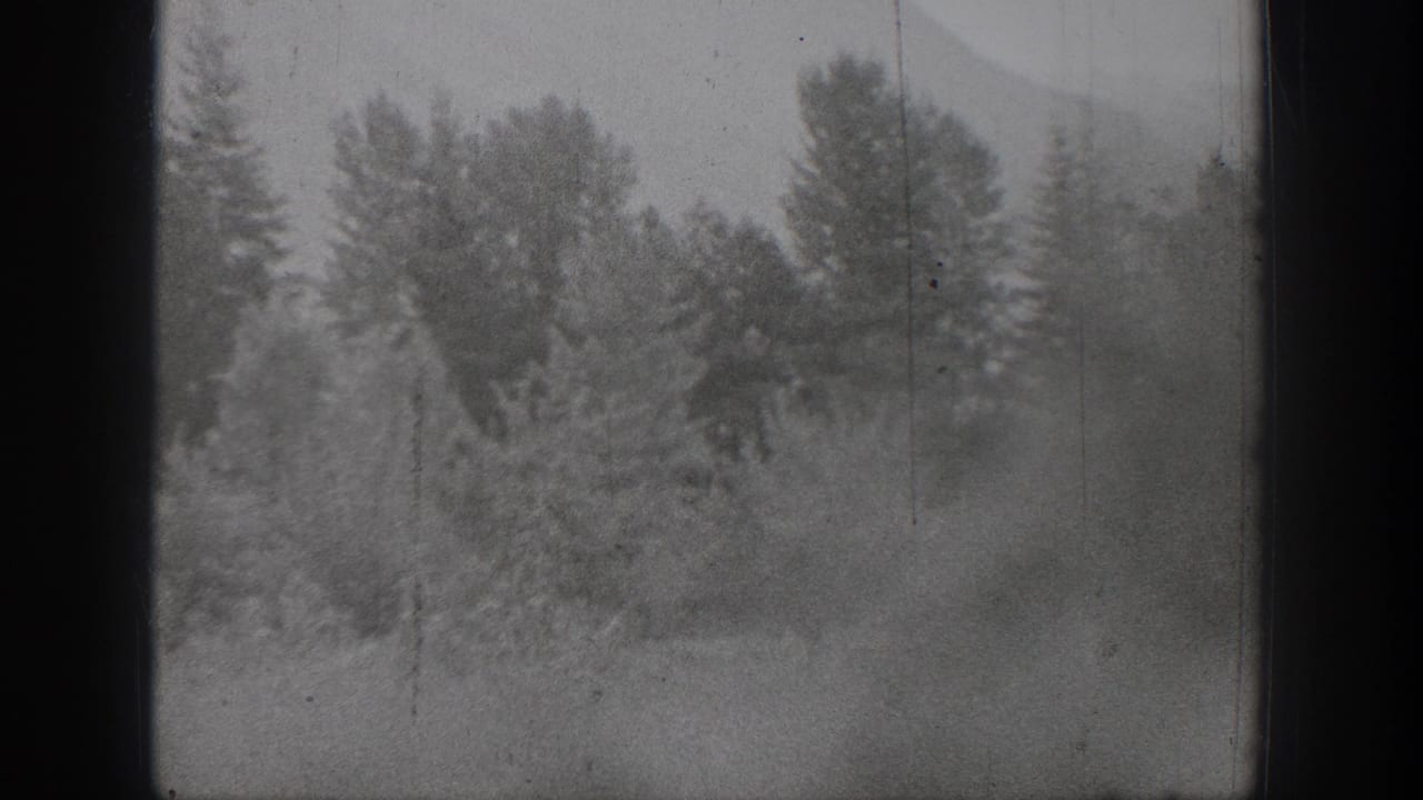 1939 Chelan home-movie frame with soft-focus shrubs, small trees, and darker woodland shapes behind the foreground growth.