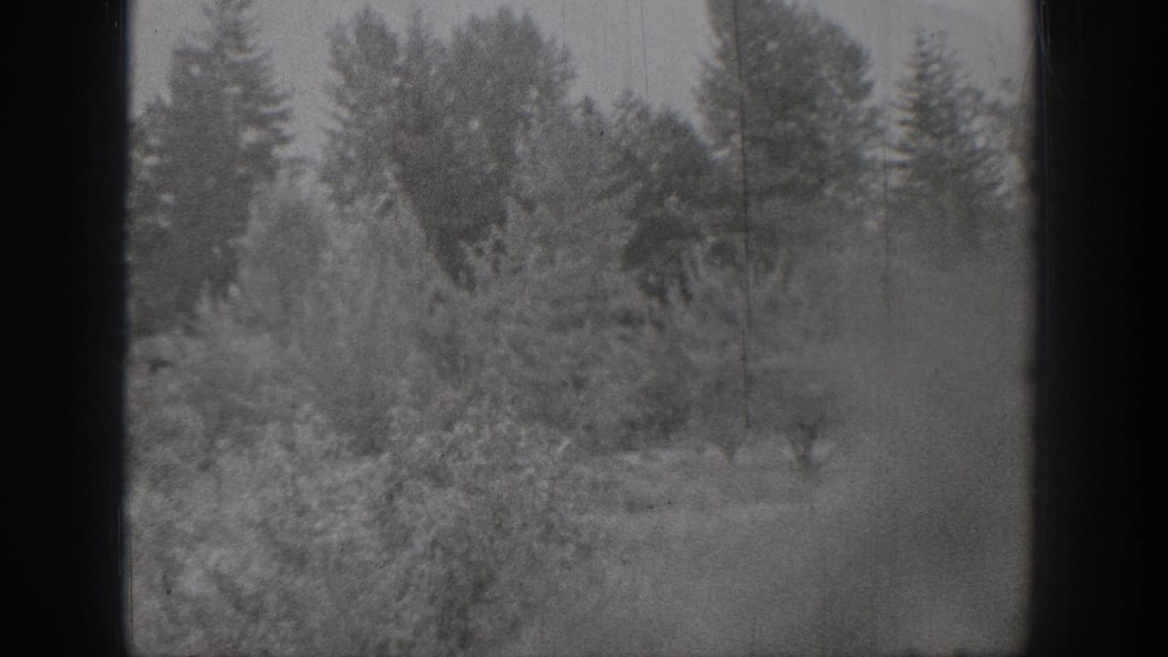 1939 Chelan, Washington home-movie frame showing a snow-covered rural landscape with shrubs, evergreens, and dark window edges.
