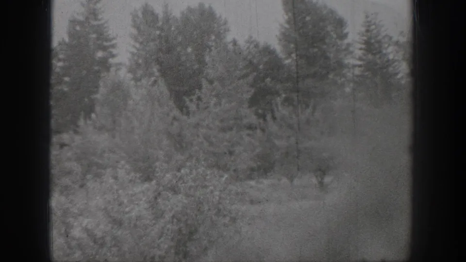1939 Chelan, Washington home-movie frame showing a snow-covered rural landscape with shrubs, evergreens, and dark window edges.