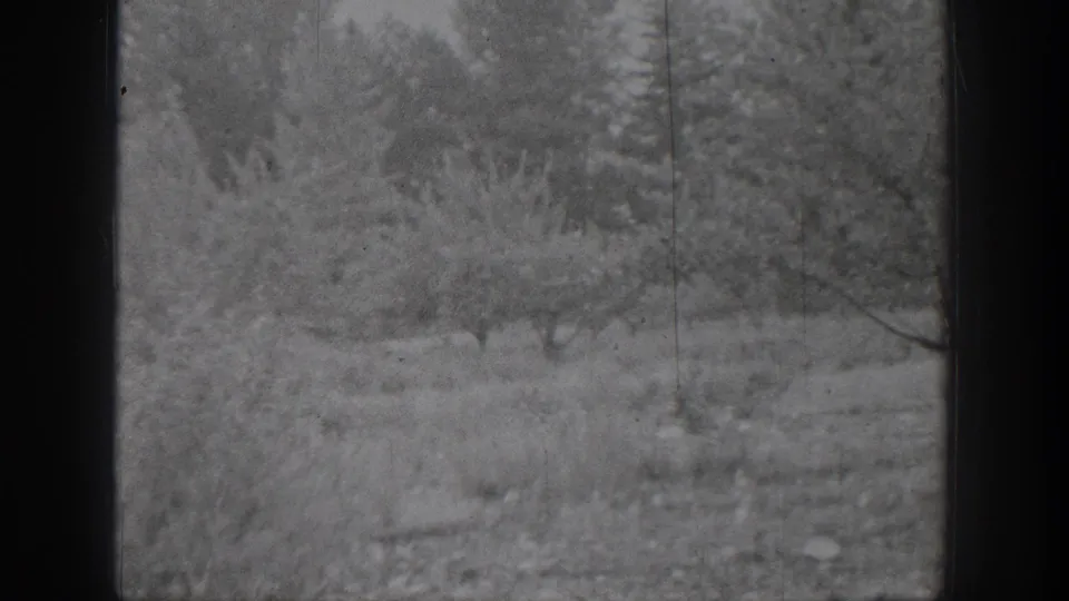 Black-and-white 8mm view of snowy brush, bare trees, and evergreens in Chelan, Washington, with soft focus and frame wear.