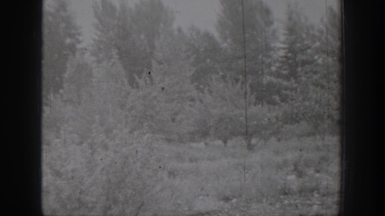 Chelan winter landscape in a 1939 home movie, with snow on shrubs and trees viewed through dark vertical framing.