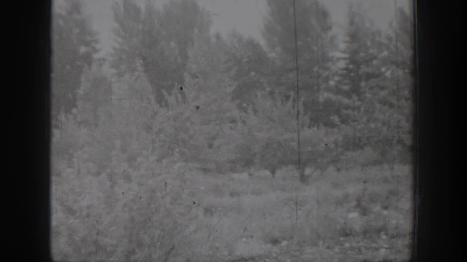 Chelan winter landscape in a 1939 home movie, with snow on shrubs and trees viewed through dark vertical framing.