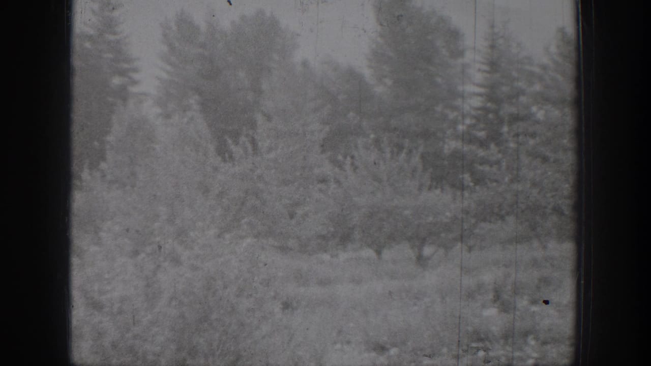 Final black-and-white 8mm frame of a snowy Chelan landscape, with brush, evergreens, bare branches, and visible film wear.