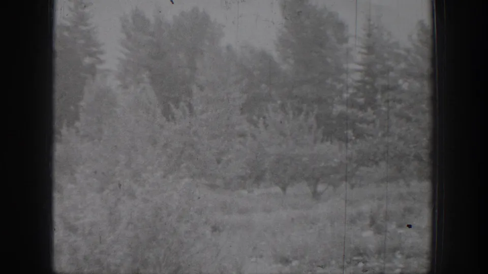 Final black-and-white 8mm frame of a snowy Chelan landscape, with brush, evergreens, bare branches, and visible film wear.