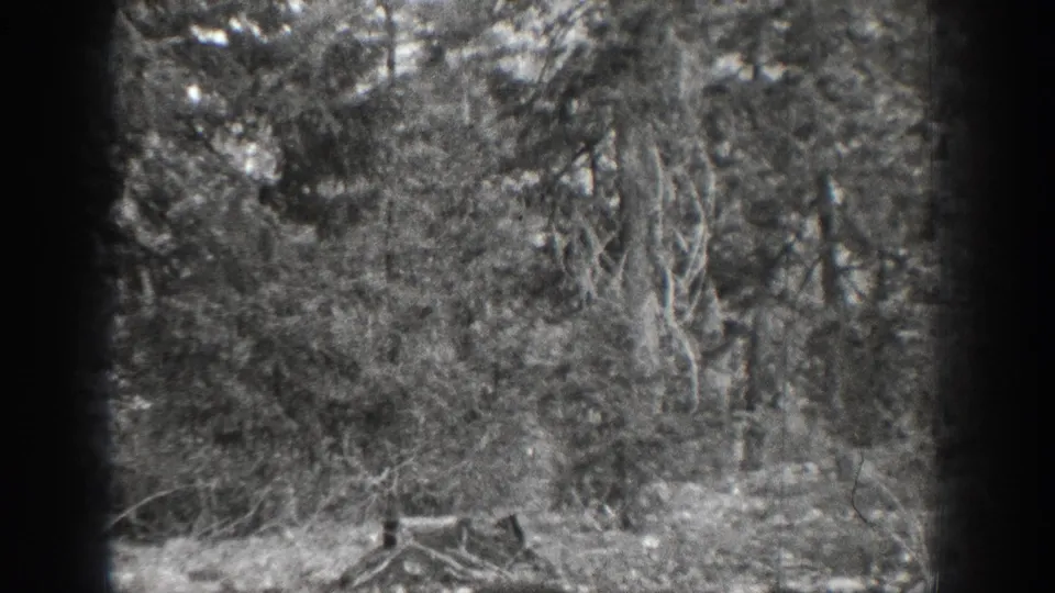 Black-and-white 8mm frame from Chelan, Washington, showing dense trees, brush, scattered stones, and dry branches in 1939 footage.