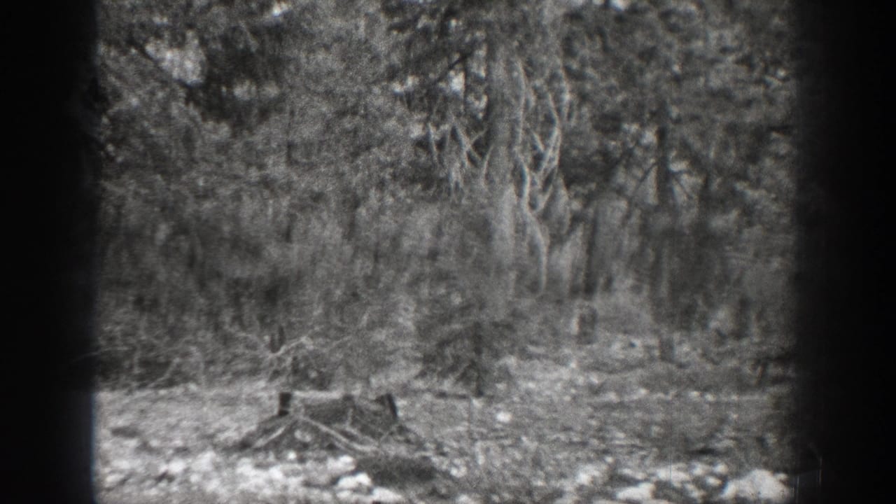 Chelan, Washington woodland in a 1939 home-movie frame, with soft focus on trees, underbrush, dry wood, and stony ground.