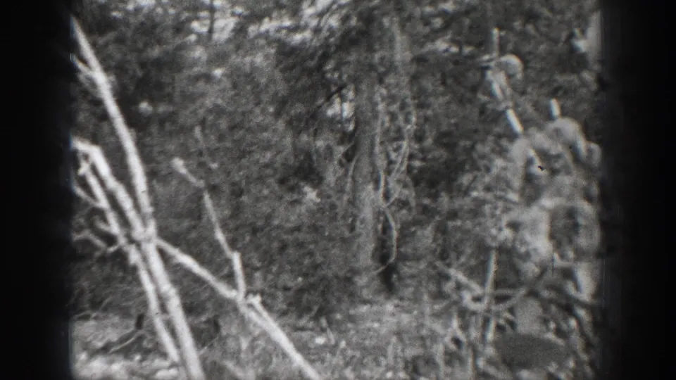 1939 Chelan, Washington 8mm frame showing dense woods, fallen branches, rocks, and soft-focus black-and-white film texture.