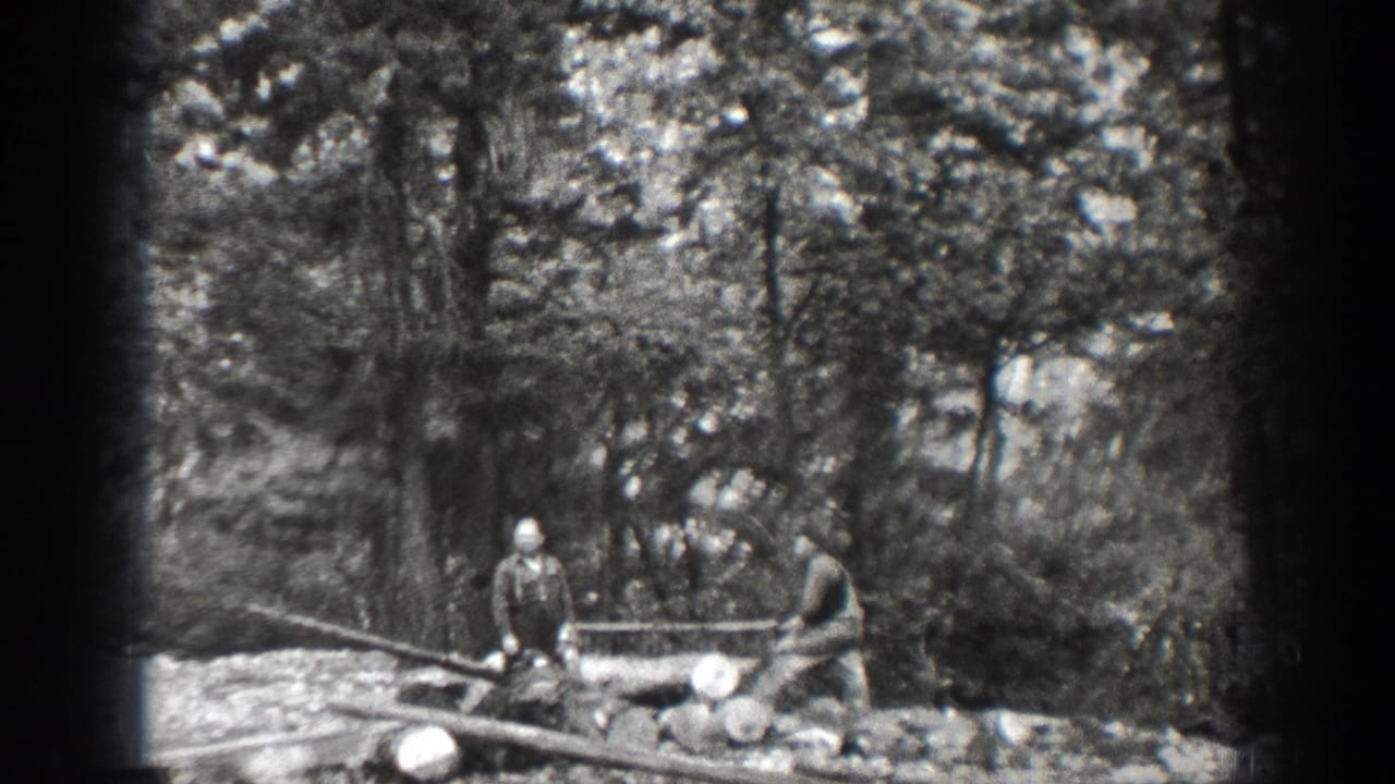 Two men stand by logs and a long saw in a wooded clearing.