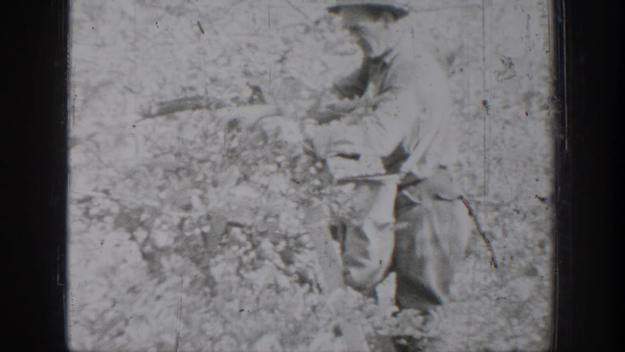 A man appears to work in a garden or yard with a long tool in 1939 Chelan home-movie footage.