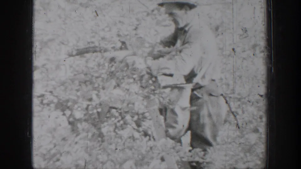 A man appears to work in a garden or yard with a long tool in 1939 Chelan home-movie footage.