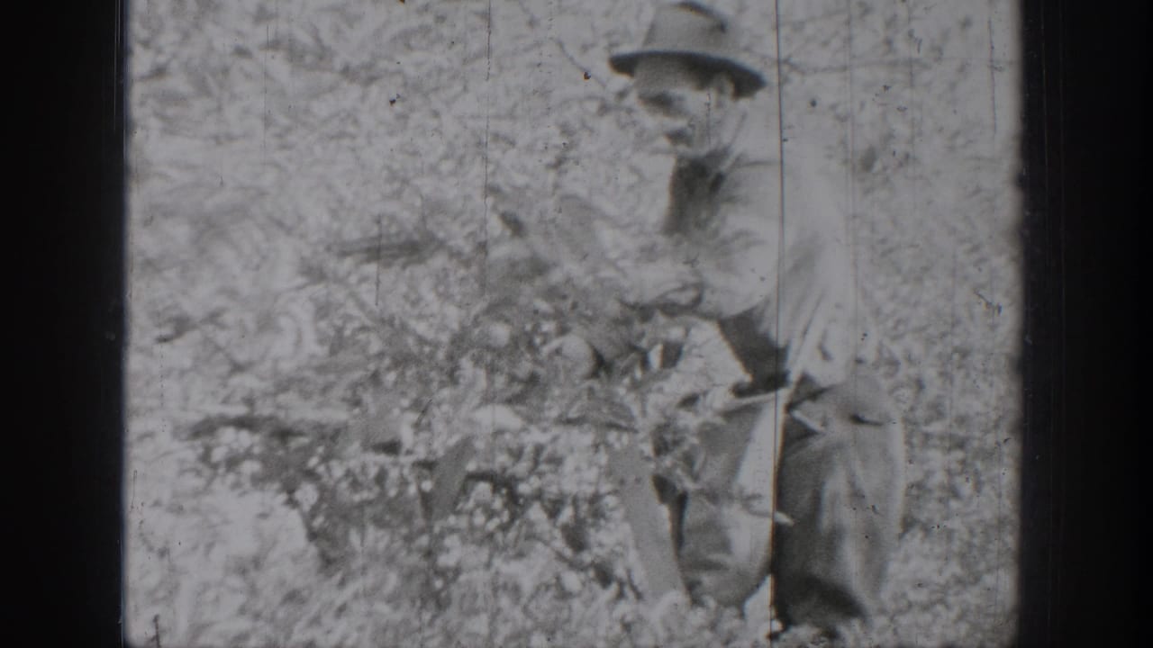 Man in a wide-brimmed hat stands among dense field vegetation holding a bag or sack.