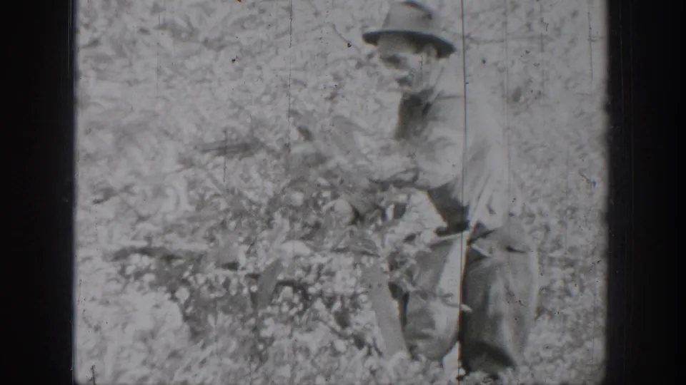 In Chelan, Washington home-movie footage from 1939, a man in work clothes stands in a field holding a bag or sack.