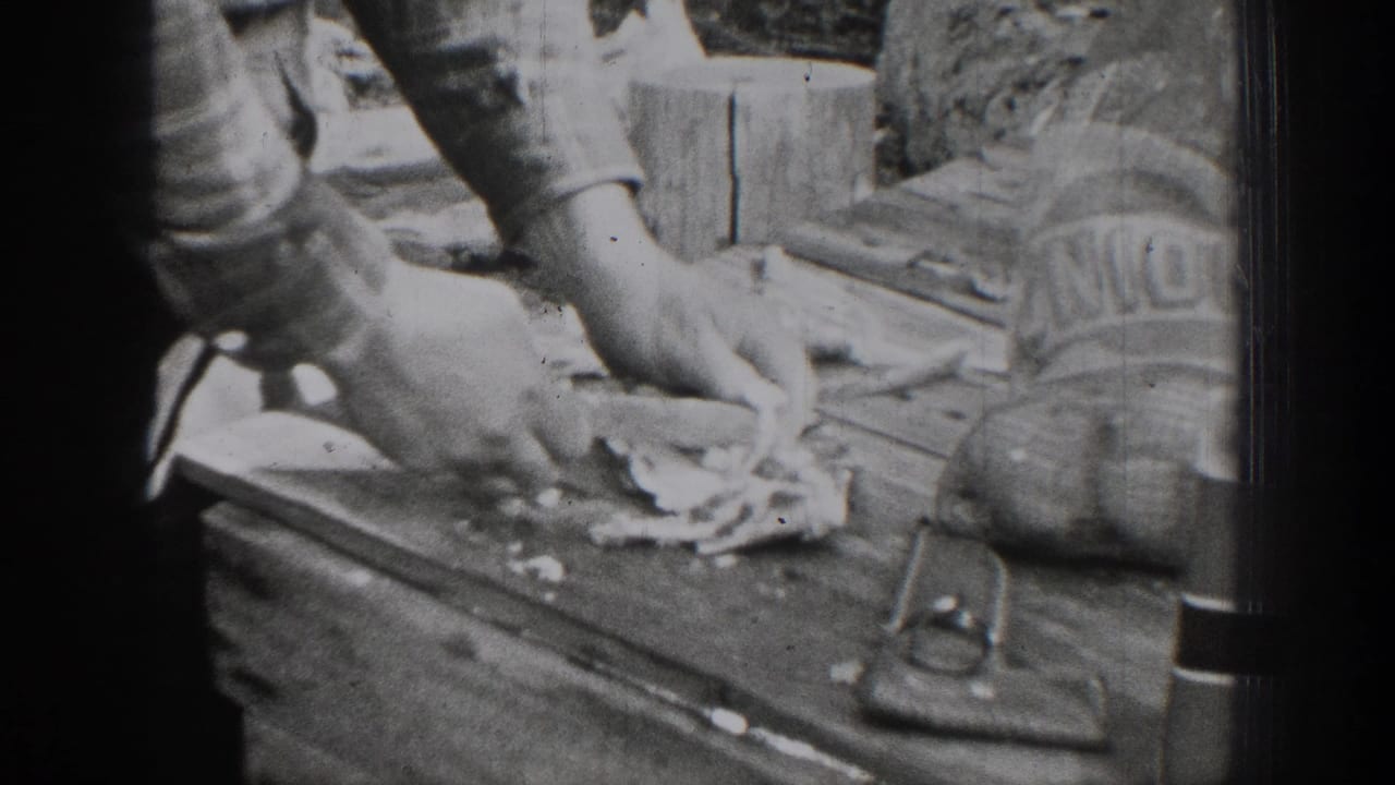 Hands cut meat on a wooden table beside a cloth and small metal object.