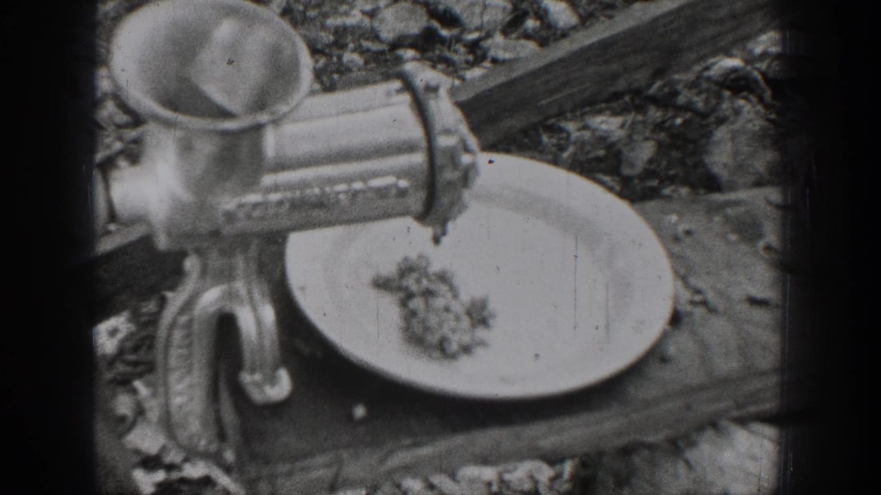 Hand-cranked metal meat grinder extruding ground meat onto a white plate outdoors.