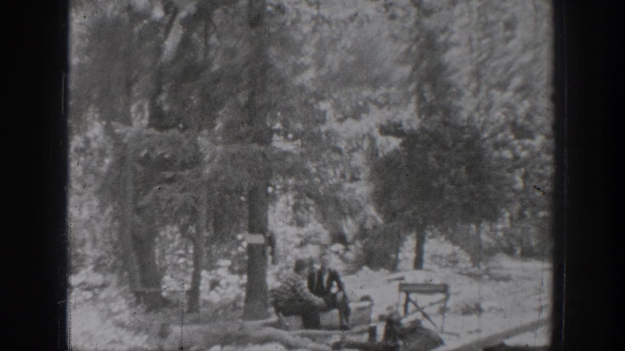 Several people sit or stand near trees and camp furniture by a wooded lakeside area.