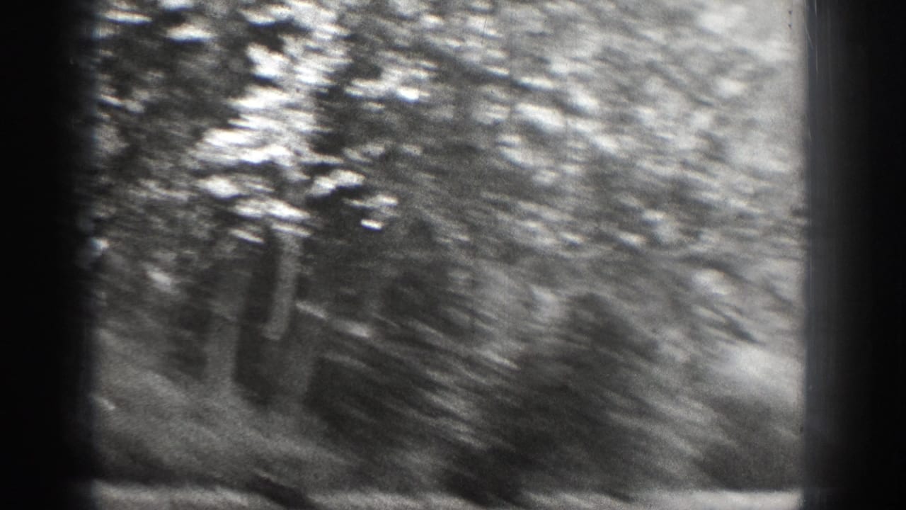 Blurred wooded shoreline and water seen through a dark 8mm frame edge.