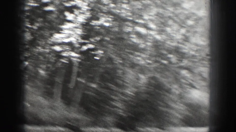 Soft, blurred 1939 8mm frame from Chelan showing trees and water near a wooded bank.